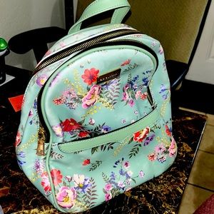 Back pack purse